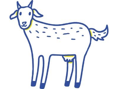 goat